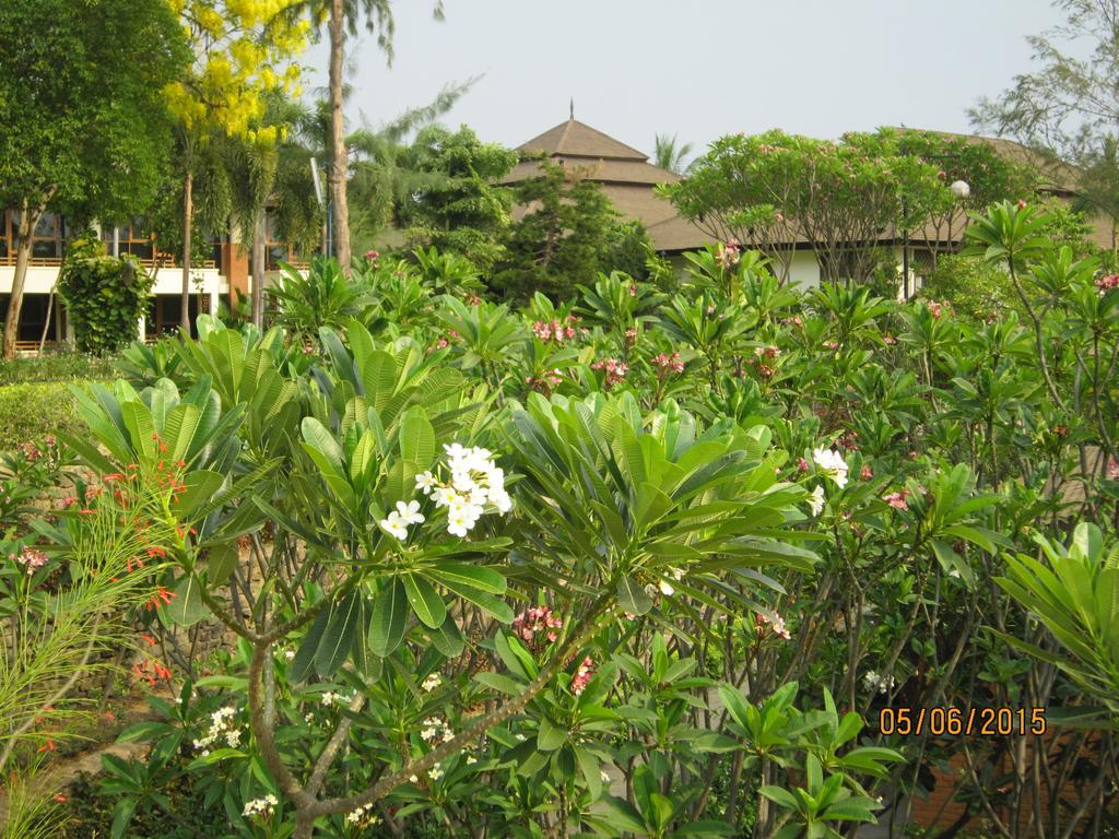 Aye Yar River View Resort Bagan Exteriör bild